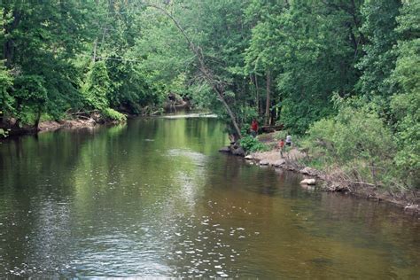 Thornapple river - Thornapple River, Michigan fishing report, rainbow trout fly fishing forecast, fishing season updates, fly shop and fishing guides, and fly-fishing weather. Wow! Its hard being the bearer of bad news, but it is bad out there!